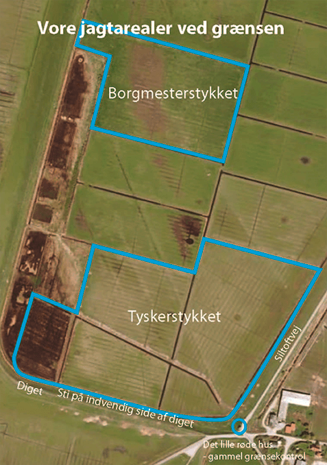 Gåsejagt i Højre - Bogmester- og tyskerstykket